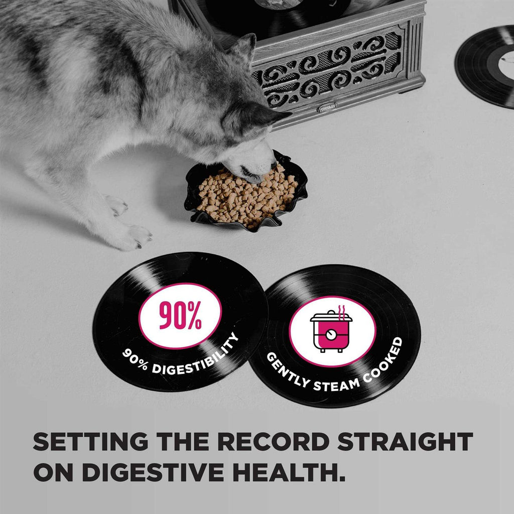 Dog Food D2294