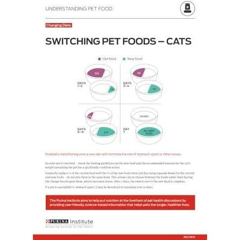 Kitten Dry Food X22553