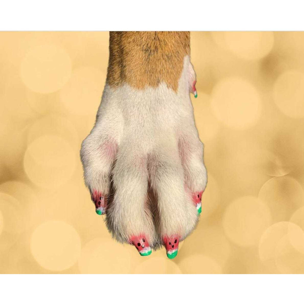 Dog Nail Polish Pen I42332
