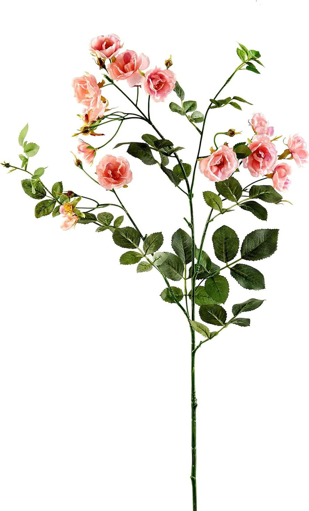 Kate Rose Spray G4853