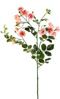 Kate Rose Spray G4853