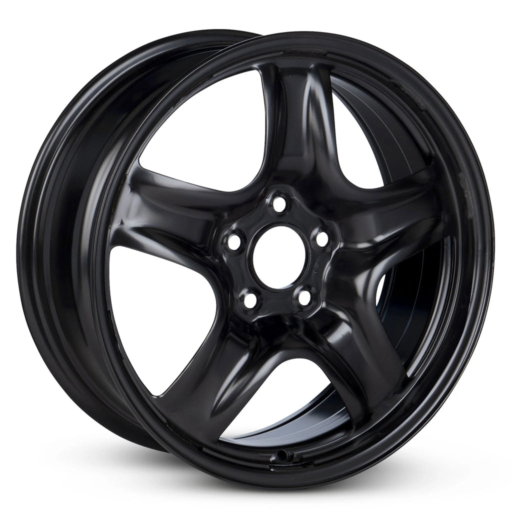 17 Inch Painted Black Rim J545501