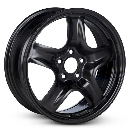 17 Inch Painted Black Rim J545501