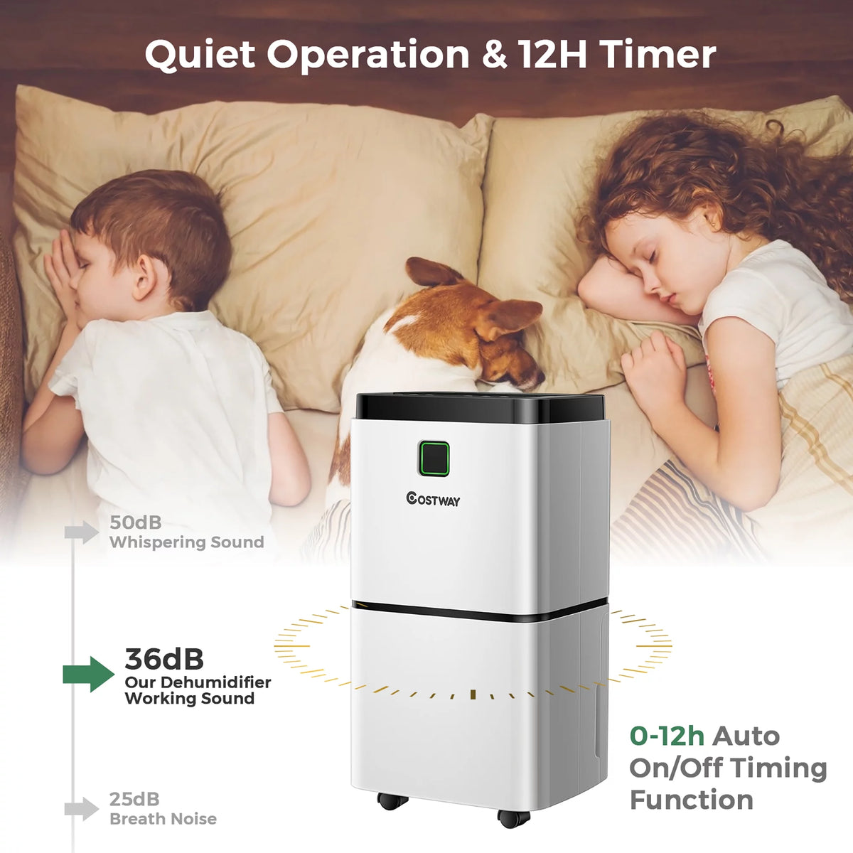 24 Pints Dehumidifier K53660