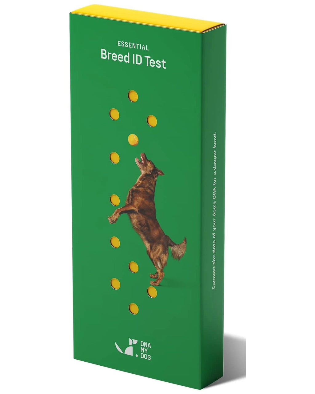 Dog Breed ID Testing Kit U406495