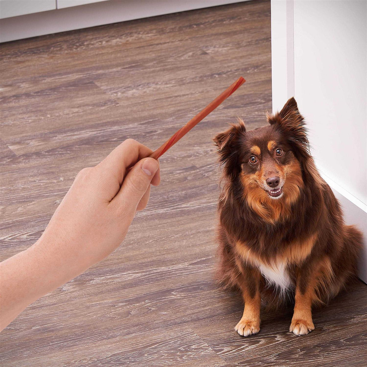 Peanut Butter Twist Sticks for Dogs G45283