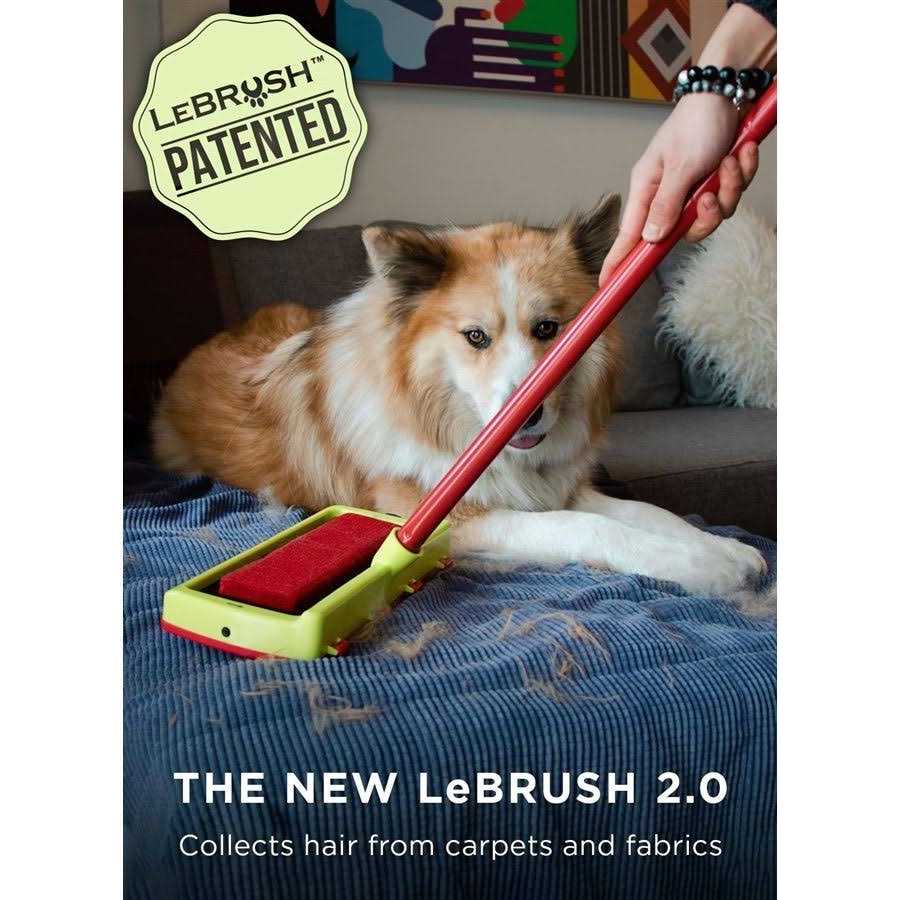 Pet Hair Remover for Carpet P95016