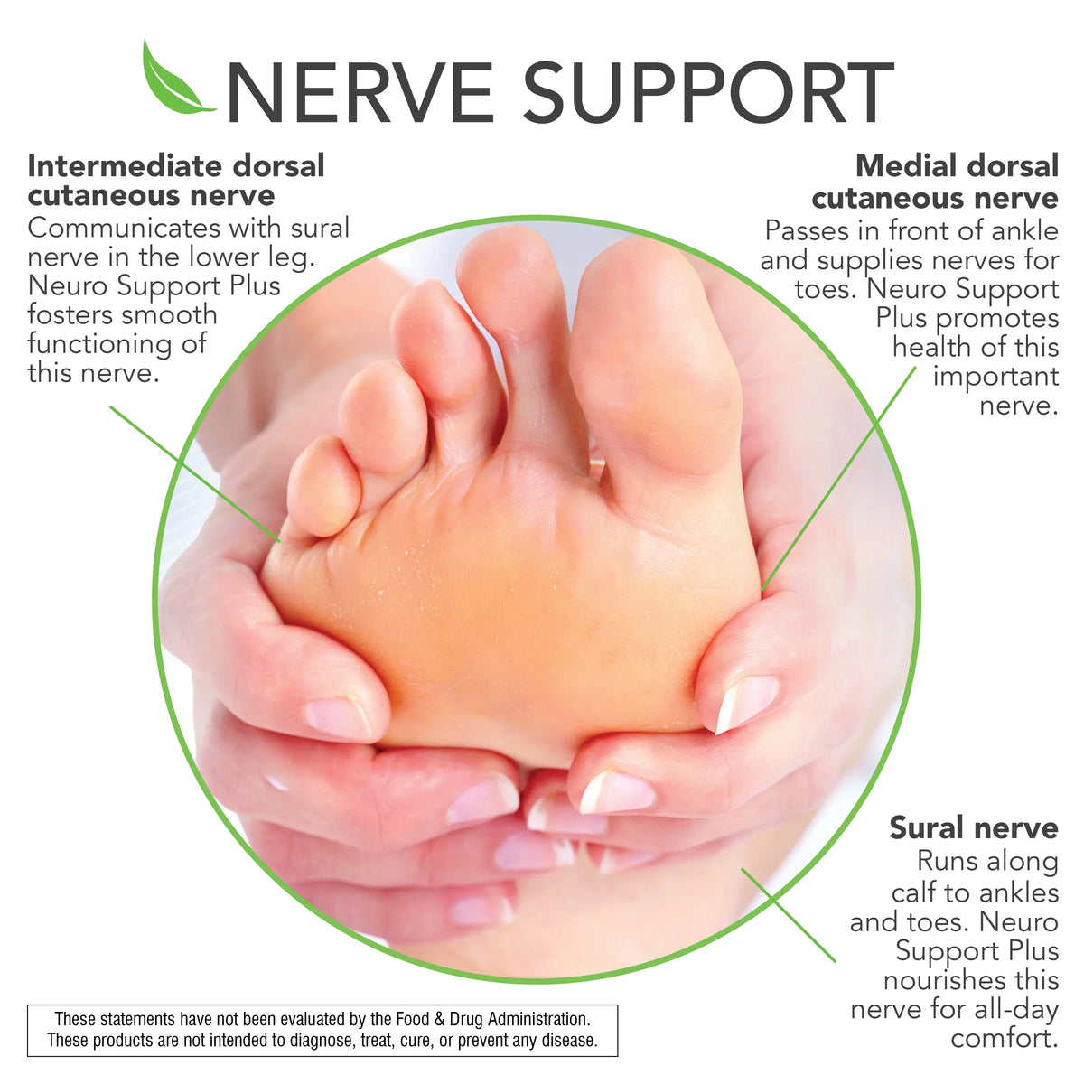 Neuro Support Plus 60 Ct D778199