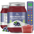 Organic Raw Sea Moss and Blueberry Gel 15 Ounce O464