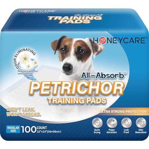 Dog and Puppy Training Pads Y22589