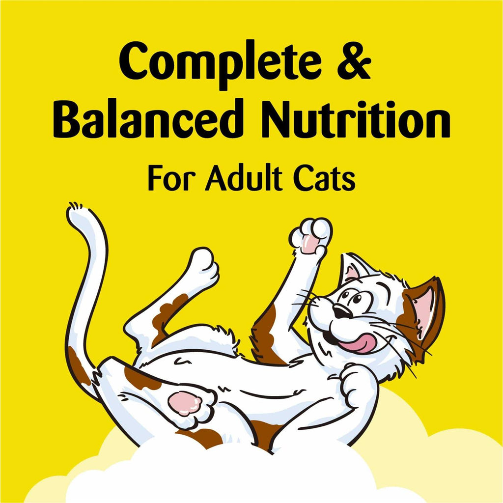 Cat Treats G58379