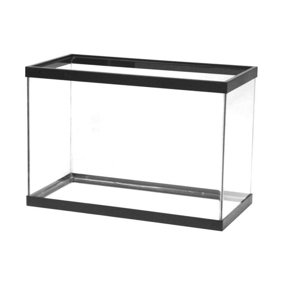 Standard Glass Rectangle Aquarium S338468