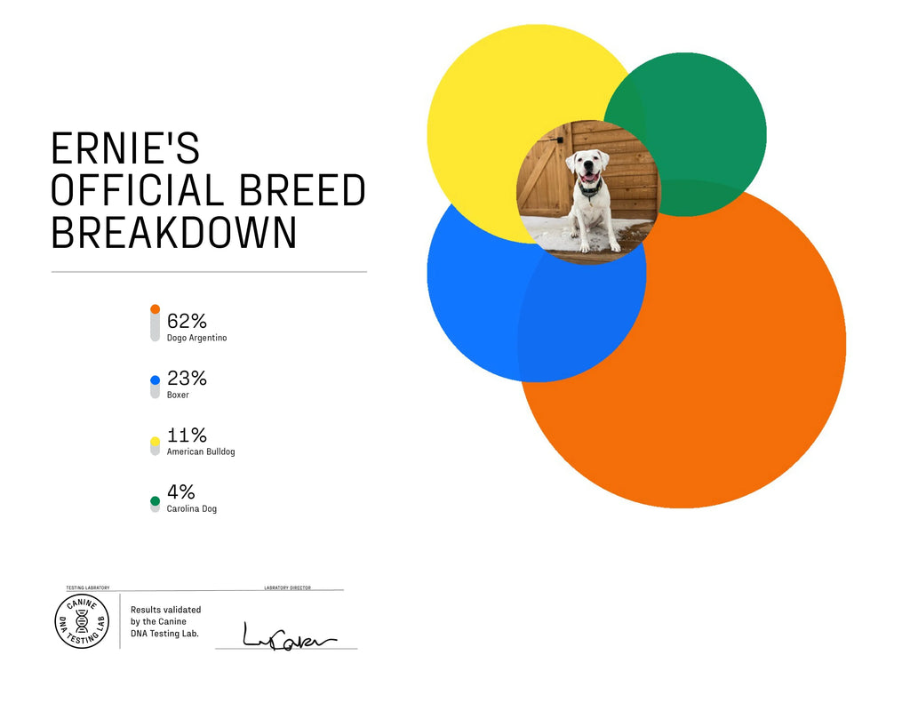Dog Breed ID Testing Kit U406495