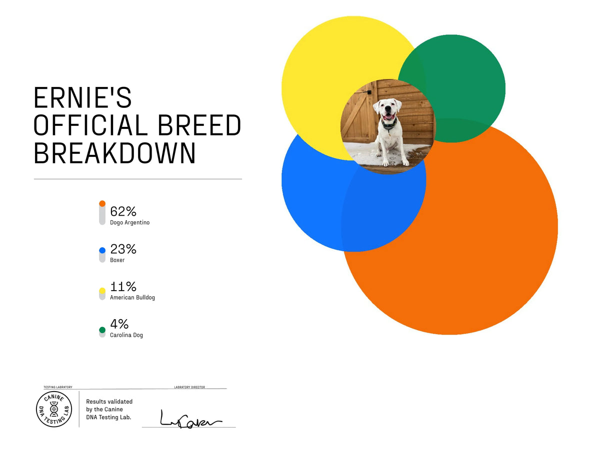 Dog Breed ID Testing Kit U406495