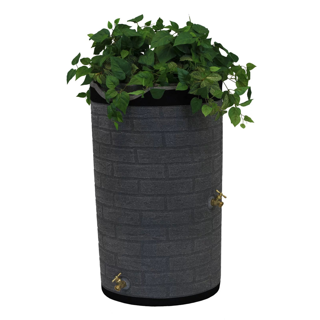 50 Gallon Rain Barrel D40730