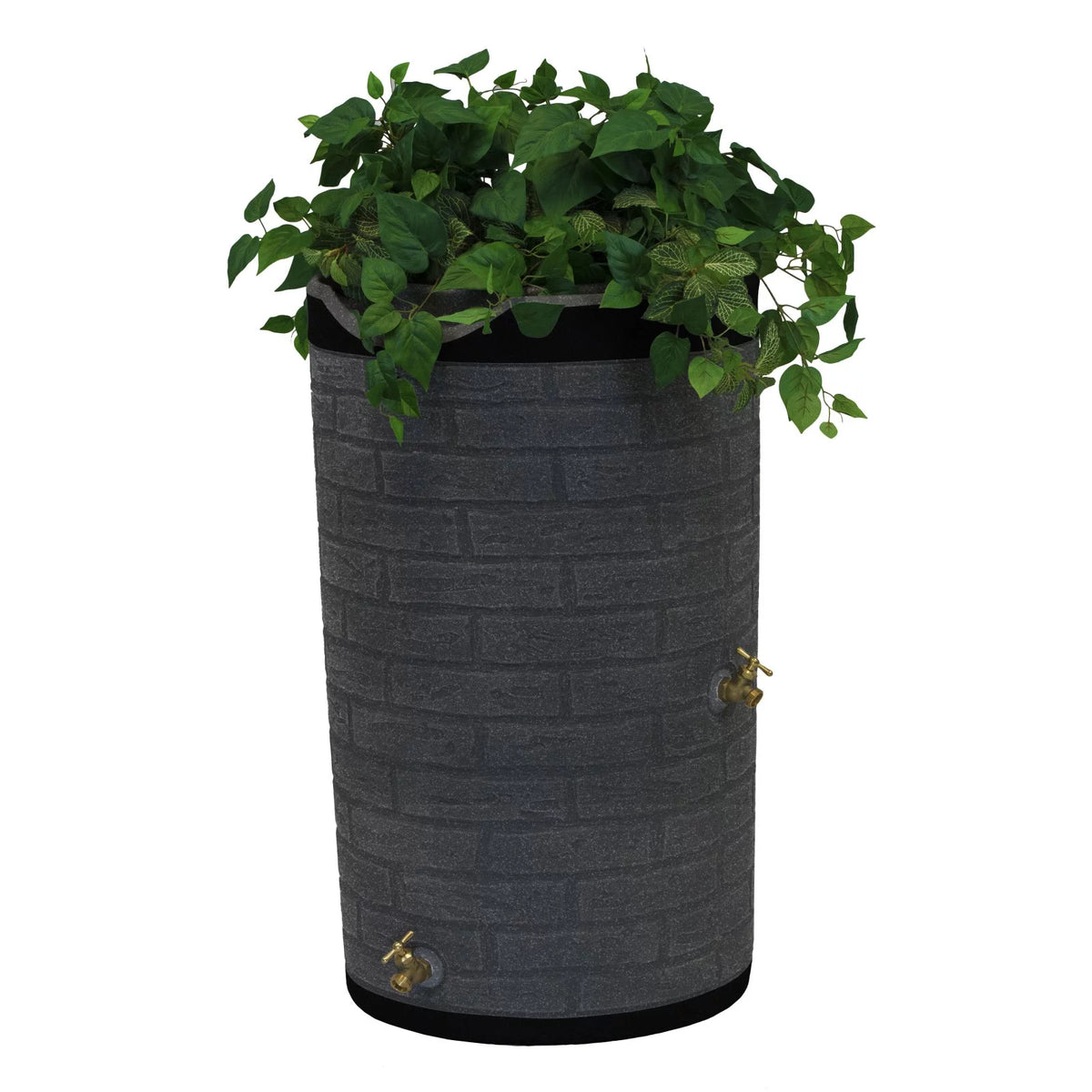 50 Gallon Rain Barrel D40730
