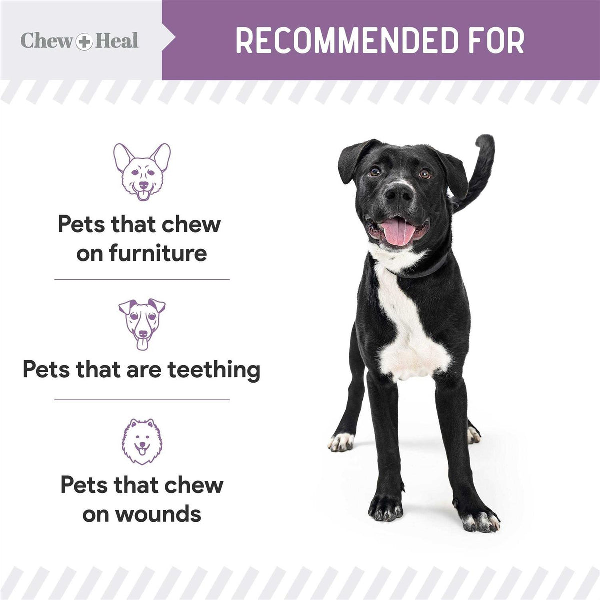 No Chew Spray O499368