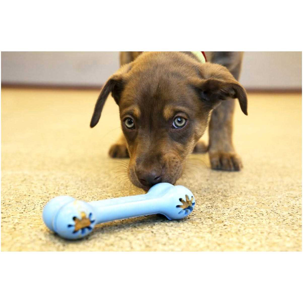 Puppy Toy S608835