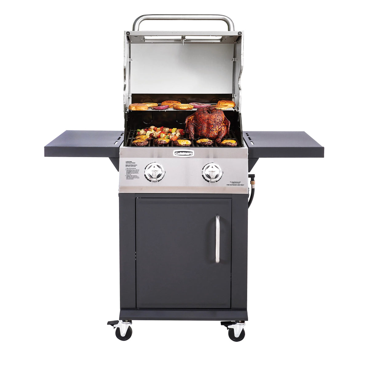 2-Burner Dual Fuel Gas Grill F95844