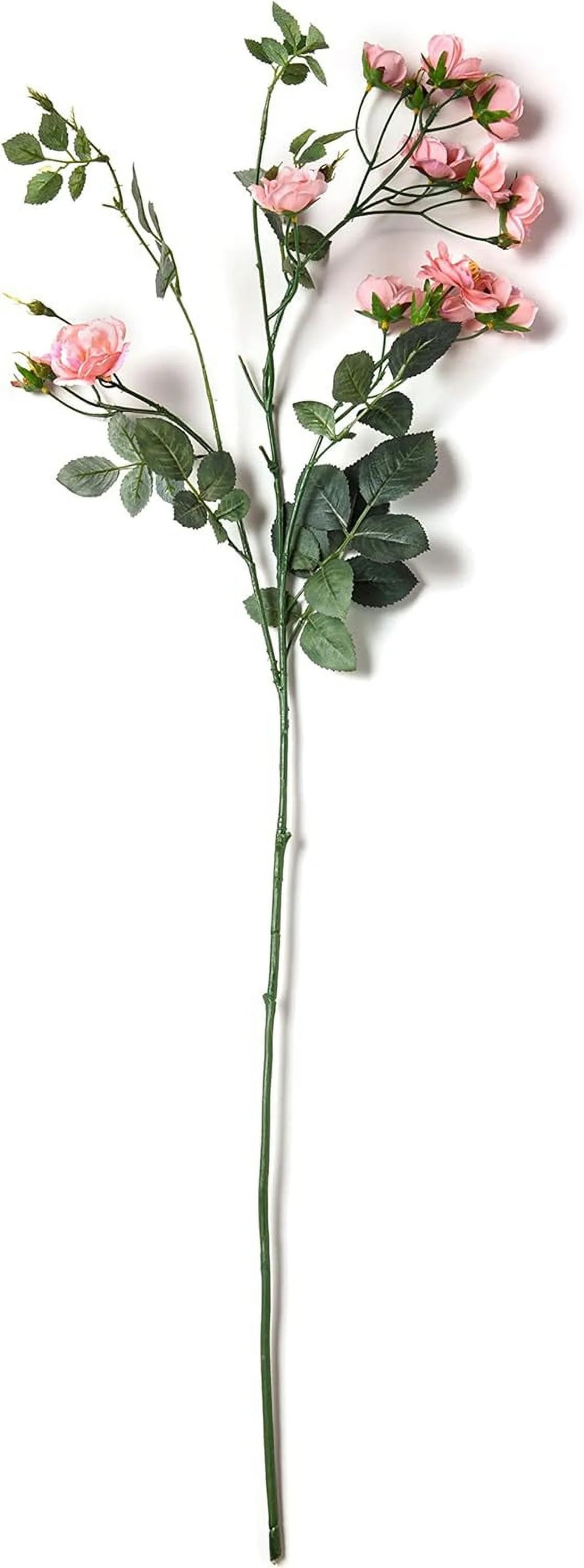Kate Rose Spray G4853