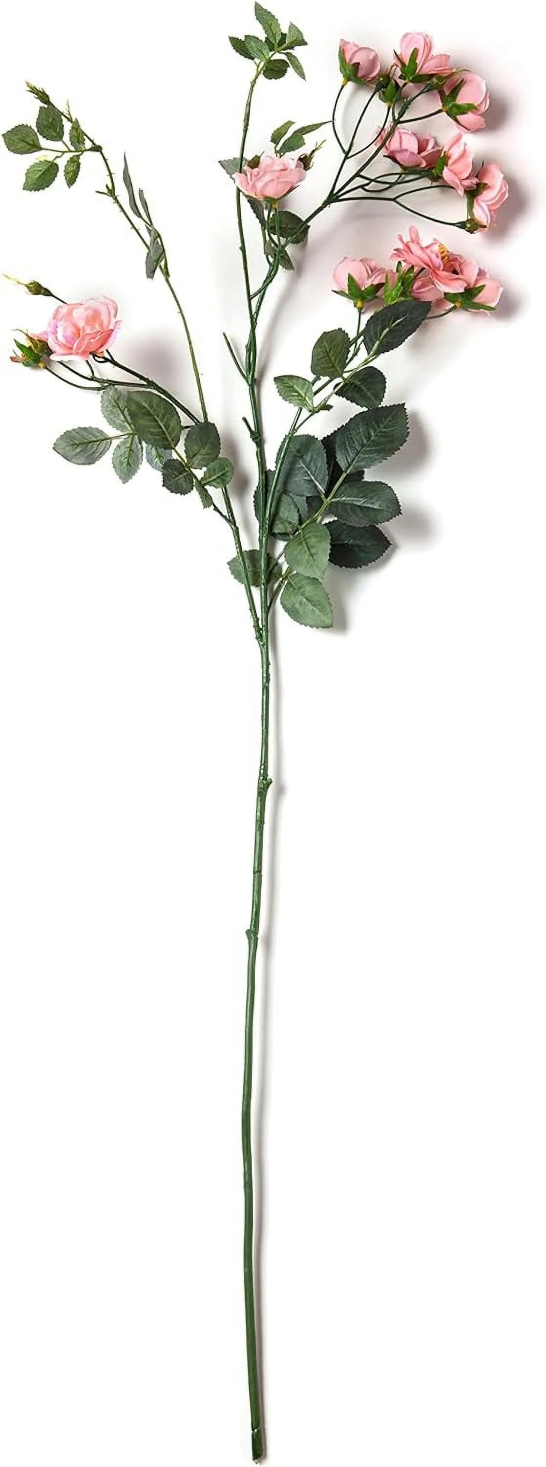 Kate Rose Spray G4853