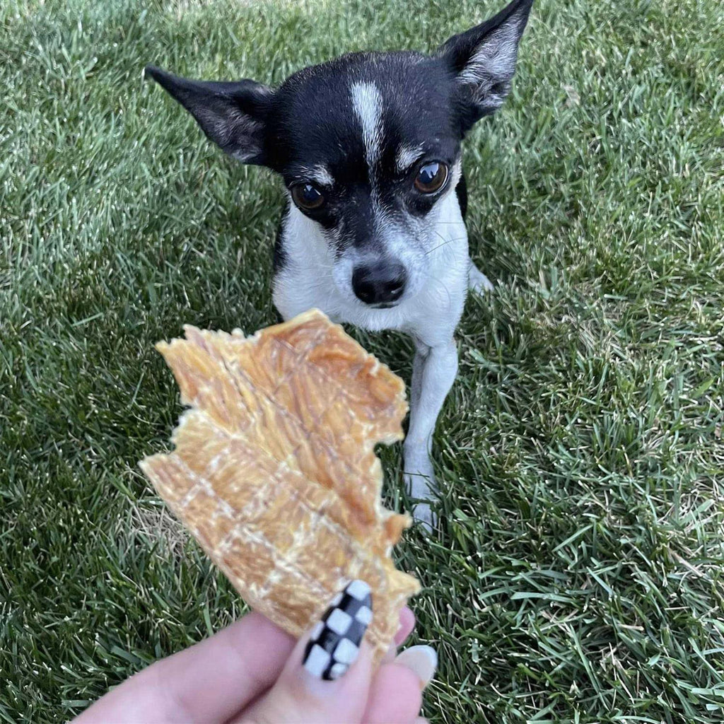 Jerky Dog Treats C369