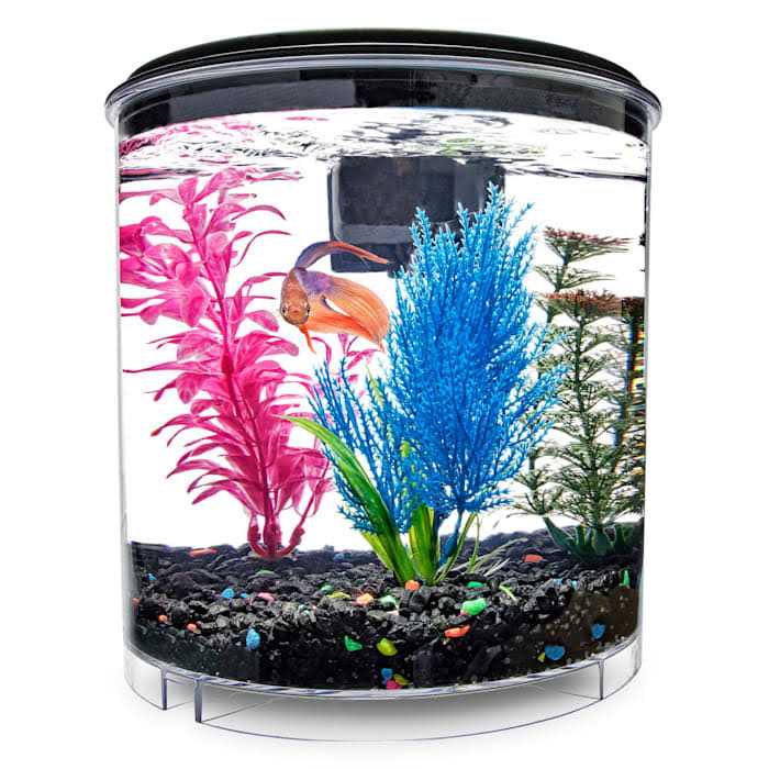 2 Gallon Tank Y761