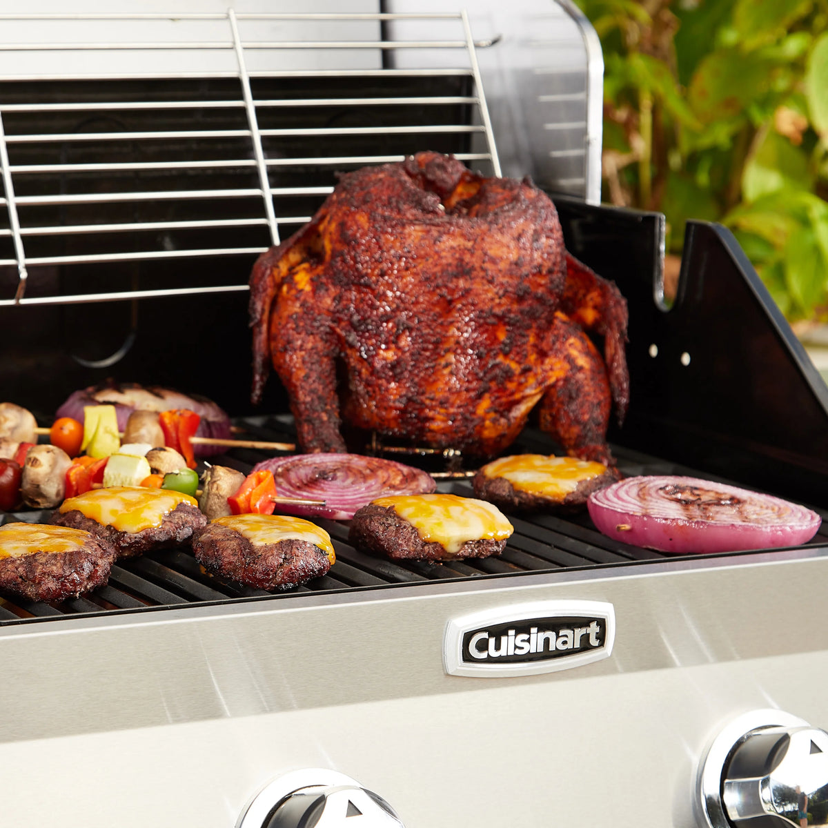 2-Burner Dual Fuel Gas Grill F95844