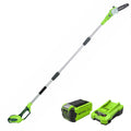 40V Cordless Battery Powered Pole Saw with 2.0 Ah Battery & Charger P14824
