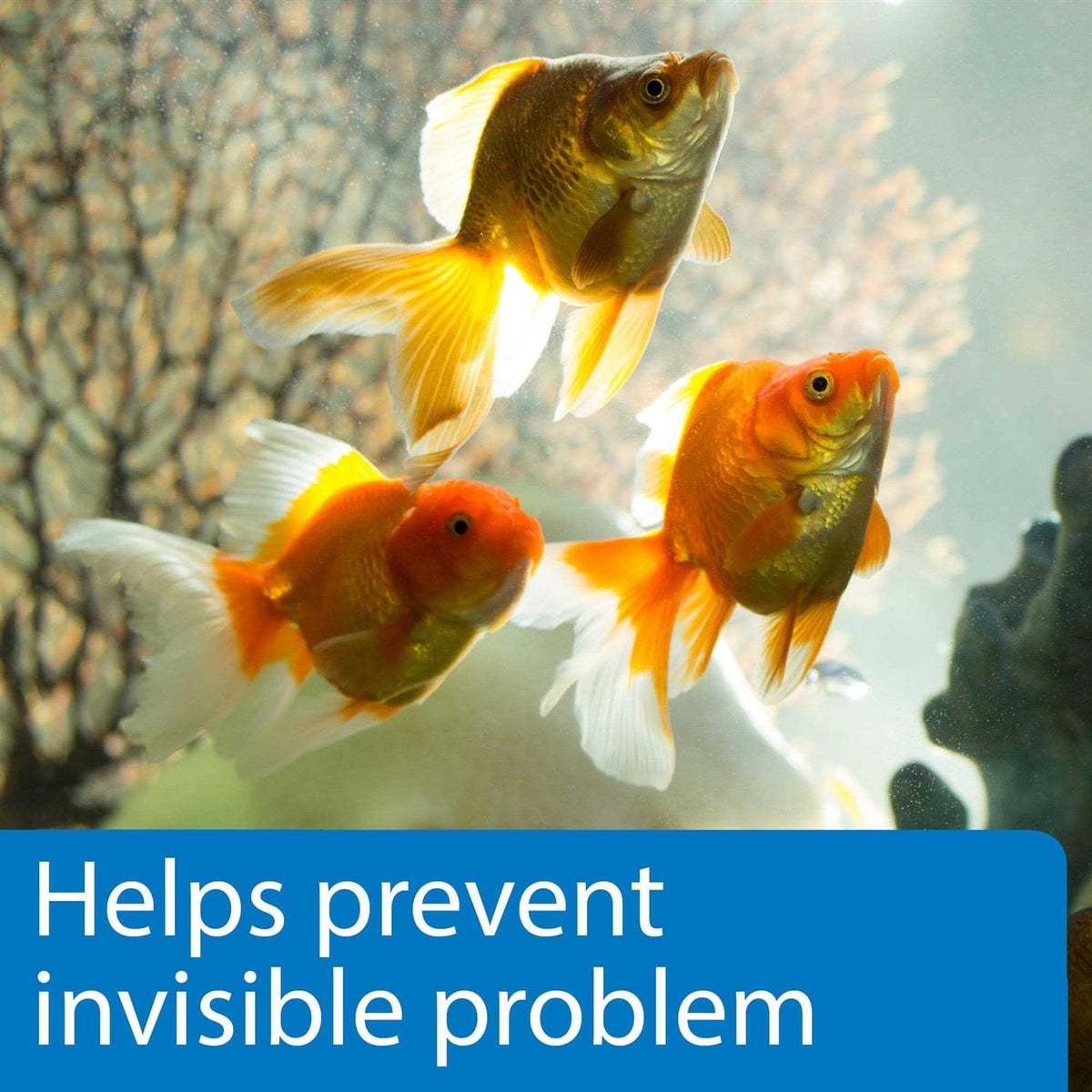 5 in 1 Aquarium Test Strips W38528