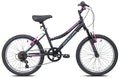 20-inch Girl's Mountain Bicycle C430