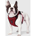 Dog Harness T120659