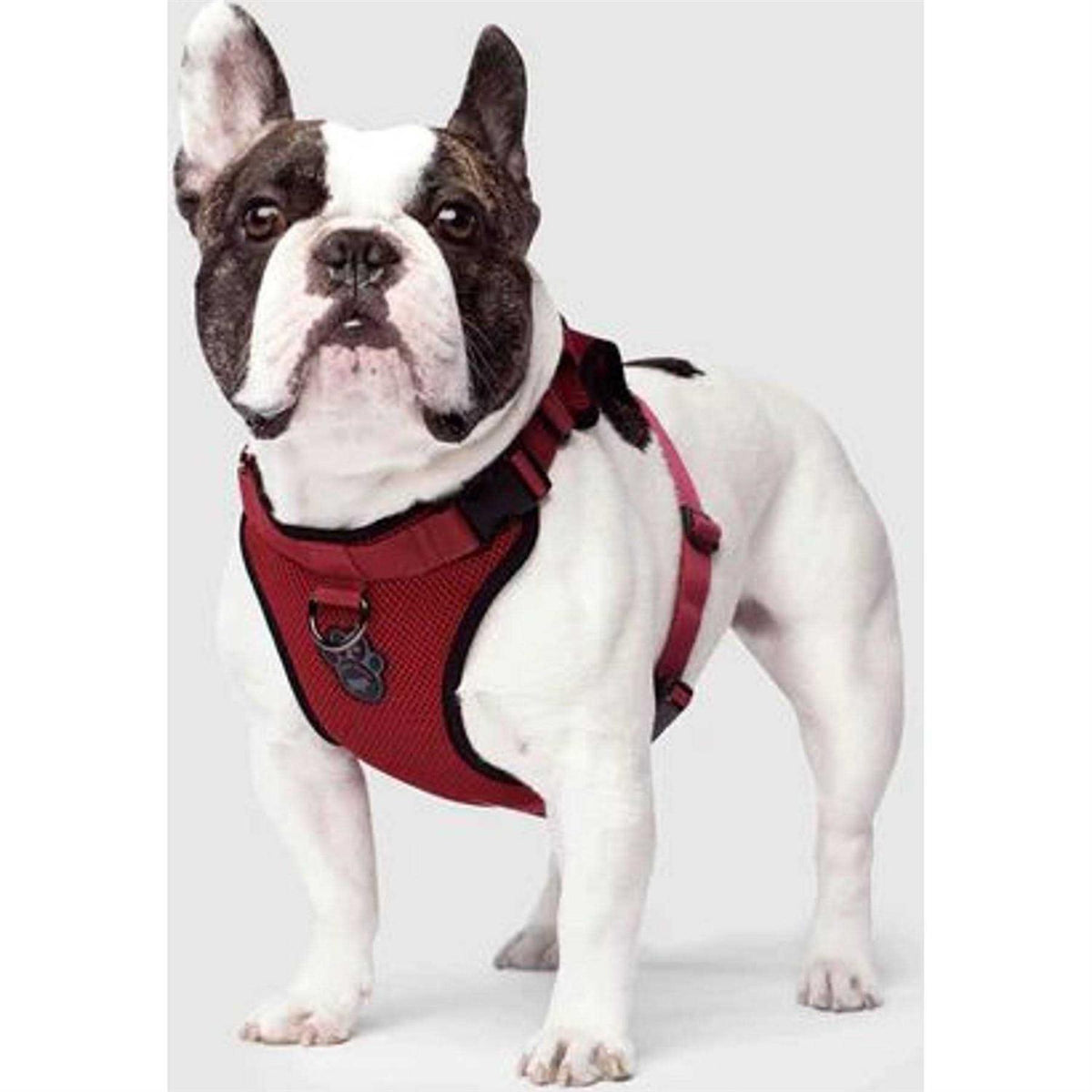 Dog Harness T120659