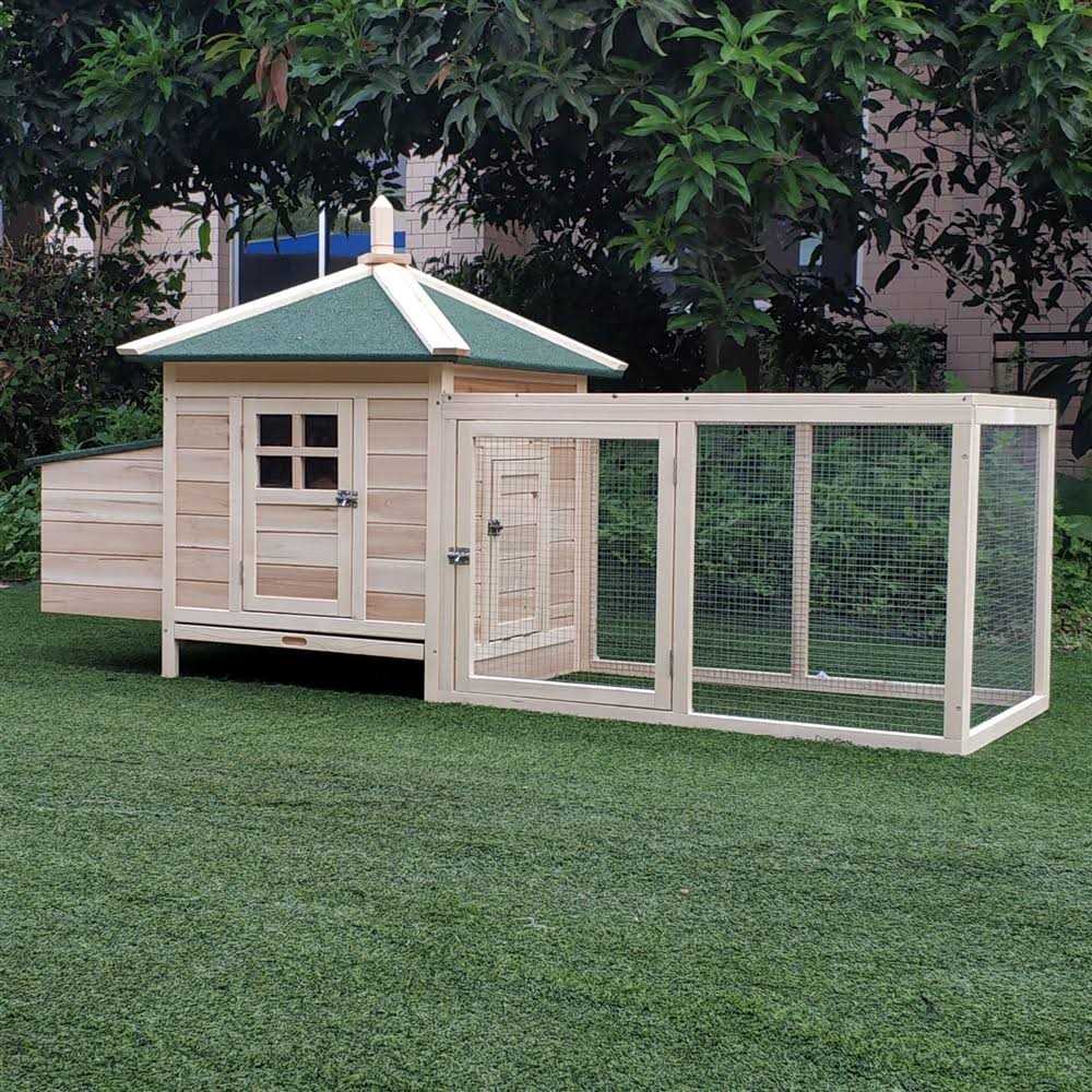 Wooden Chicken Coop with Nesting Box B363124