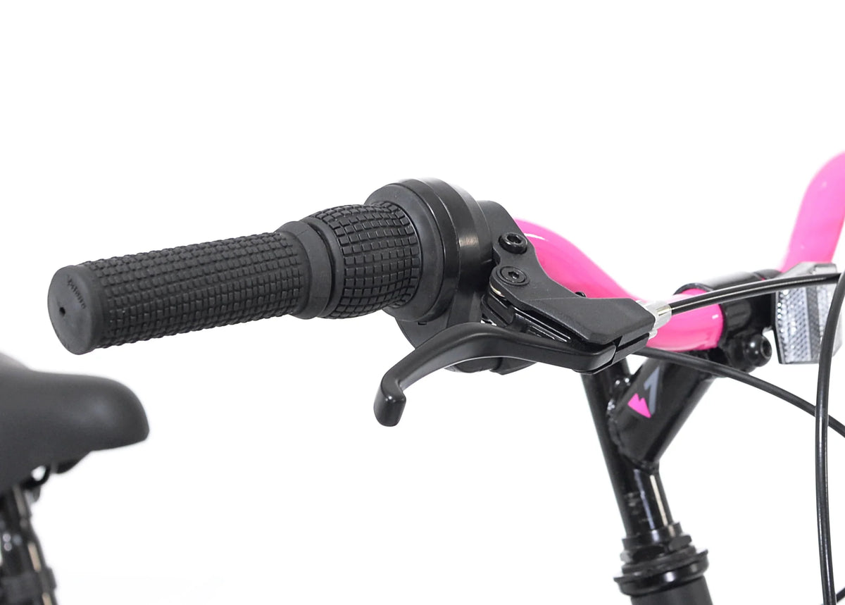 20-inch Girl's Mountain Bicycle C430
