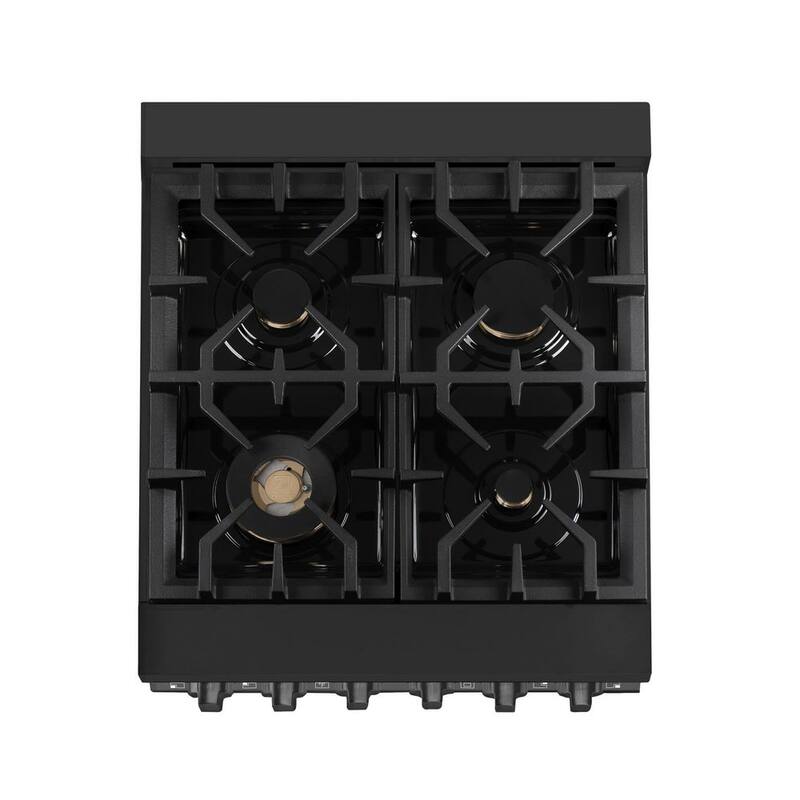 4 Burner Dual Fuel Range with Brass Burners R69829