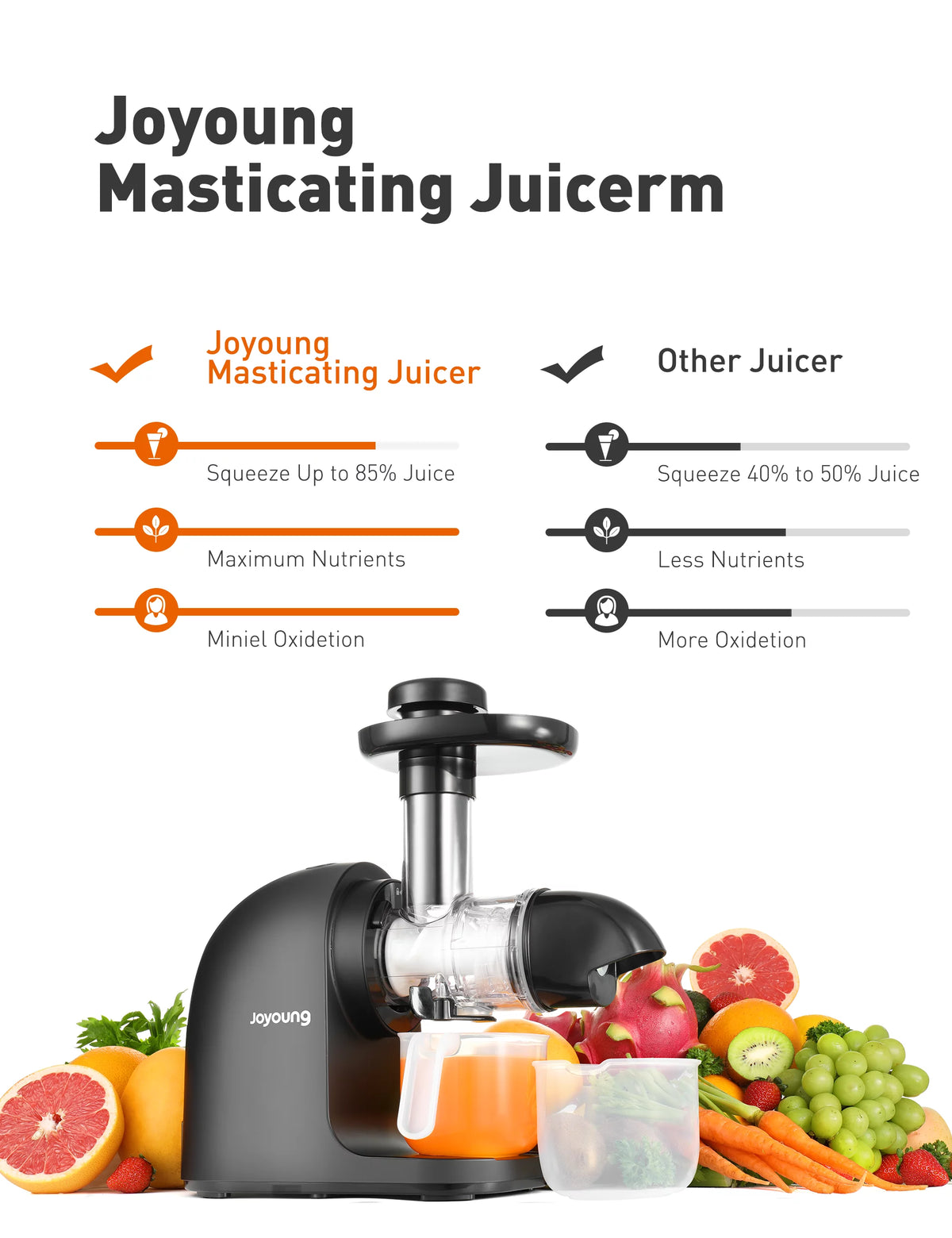 Slow Masticating Cold Press Juicer R65185