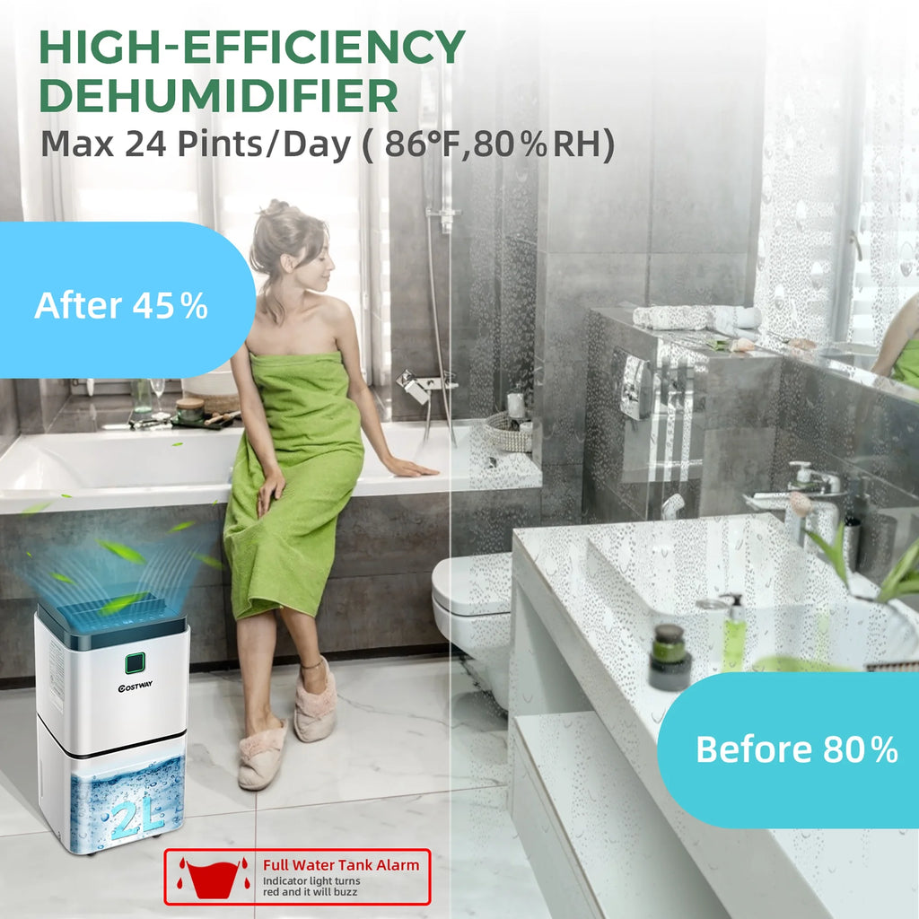 24 Pints Dehumidifier K53660