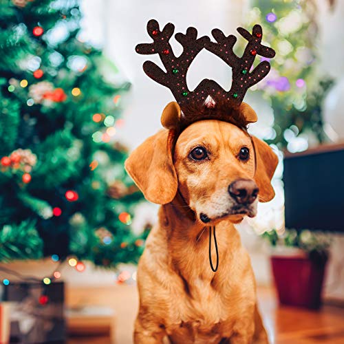3 Pack Christmas Dog Headband N333