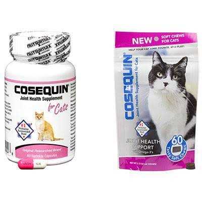 Cats Pet Supplies U835878