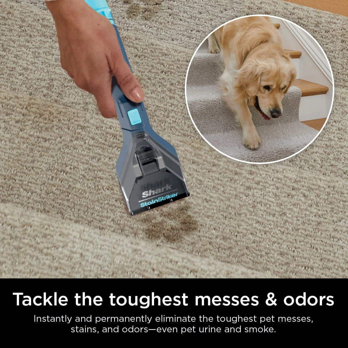 Portable Carpet & Upholstery Cleaner T7835